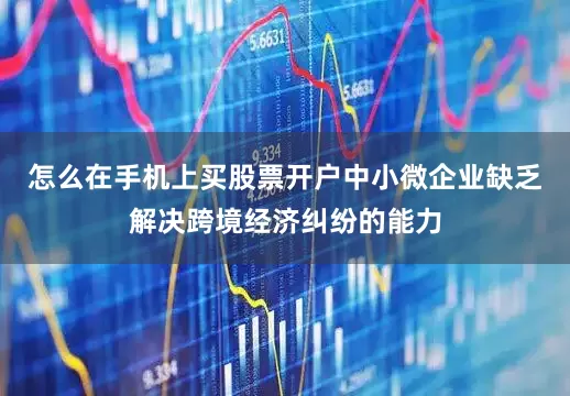 怎么在手机上买股票开户中小微企业缺乏解决跨境经济纠纷的能力
